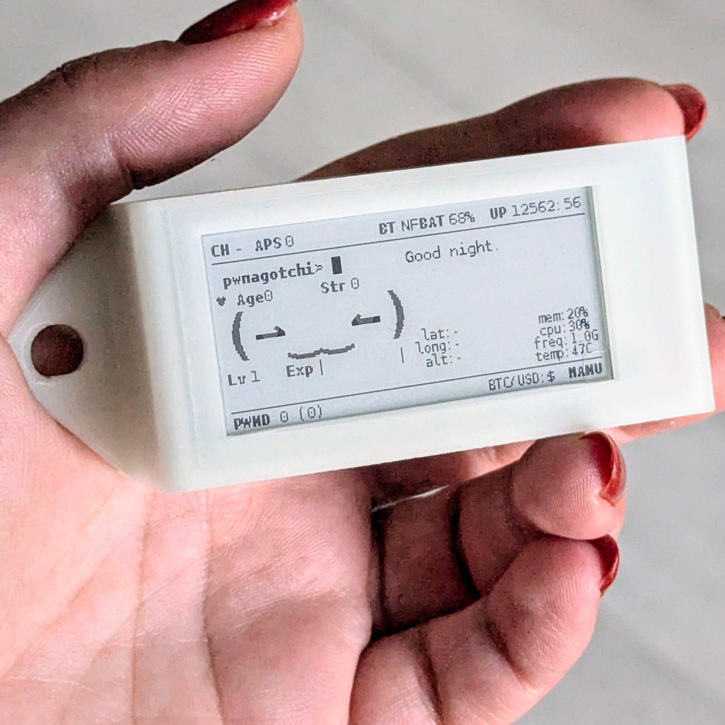 Pwnagotchi Supreme with Built in Battery
