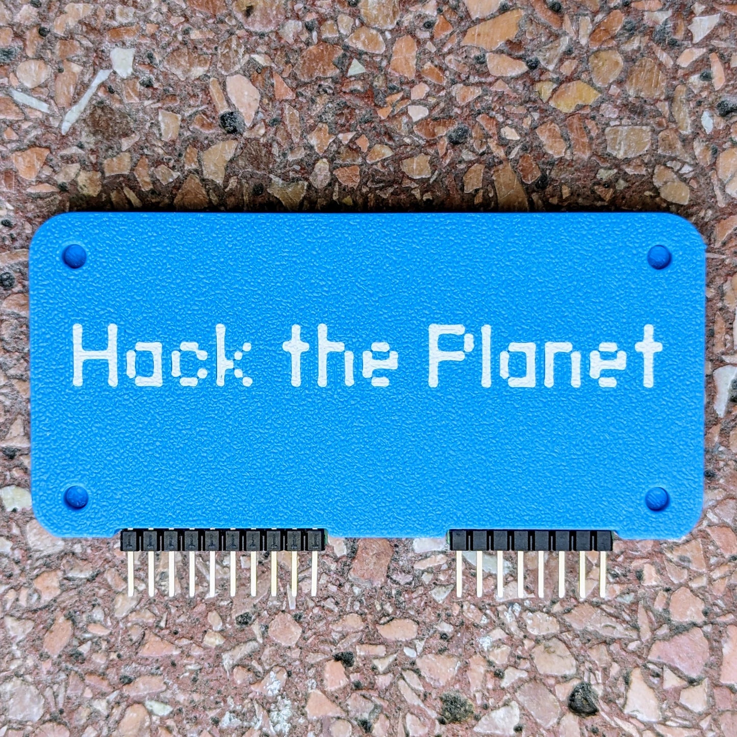 Flipper Zero Wifi Dev Board Case: "Hack the Planet" Minimalist Design Case
