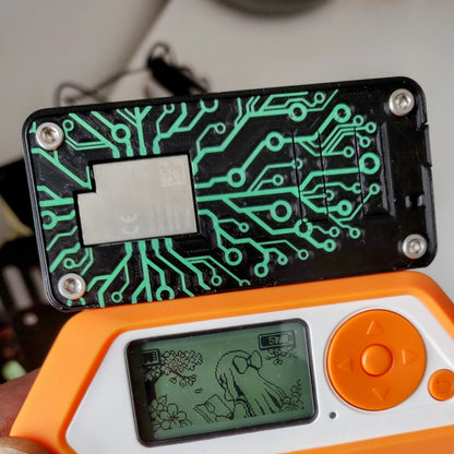 Circuit Board Art  Flipper Zero Wifi Devboard Case with Pin Protector